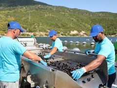 CarrefourSA’dan Mavi Ekonomi ile Sürdürülebilir Deniz Ürünleri Atağı