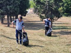 Park ve bahçelerde sonbahar temizliği