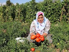 Yamanlar yılın en renkli şenliğine hazır!