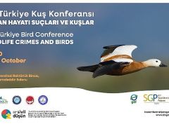 21. Türkiye Kuş Konferansı 18-20 Ekim 2024’te Yaban Hayatı Suçları ve Kuşlar temasıyla Ankara’da.