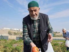 Bostanın Son Hasadı Huzurevi Sakinlerinden