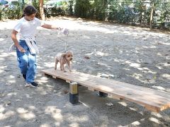 Hayvanları Koruma Günü’nde Kadıköy’de “Pati Park” Açıldı