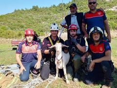 İzmir İtfaiyesi’nden yürekleri ısıtan kurtarma operasyonu