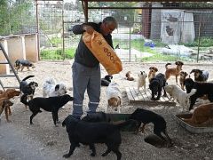 Kemer Belediyesi mama üretim tesisini açıyor