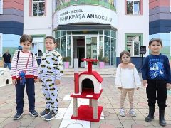 Minik Ellerden Can Dostları İçin Büyük İş