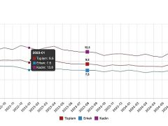 Tüik: Mevsim etkisinden arındırılmış işsizlik oranı %8,5 seviyesinde gerçekleşti