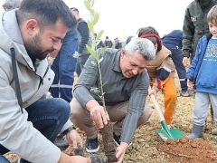 Kandıra’da 1.500 Defne Fidanı Toprakla Buluştu.