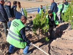 Sivas Belediyesi anlamlı bir çalışmaya imza atarak mevsimlik işçiler adına hatıra ormanı oluşturdu.