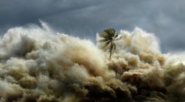 Tarihin En Ölümcül Tsunamisini İnceleyen ‘Tsunami: Kıyamet Dalgaları’, 26 Kasım Salı ve 27 Kasım Çarşamba 20.00’de Art Arda İkişer Bölümle National Geographic Ekranlarında!