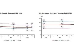 Tüik: Mevsim etkisinden arındırılmış işsizlik oranı %8,7 seviyesinde gerçekleşti