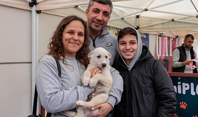 konaktan patili dostlari sahiplendirme etkinligi yeni yila sicak yuvalarinda girecekler 0 w2FUCQBt