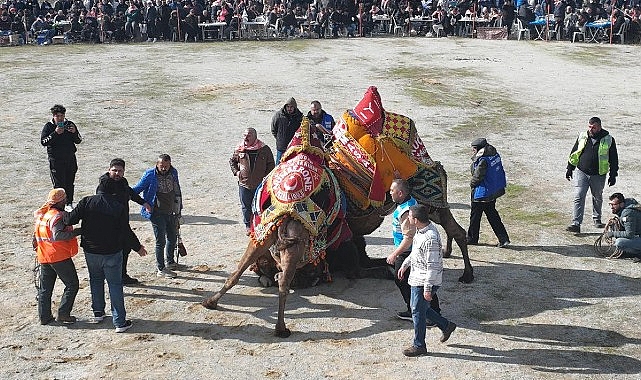 burhaniyede hasat festivali icin geri sayim basladi 0 bIHtC4Yc