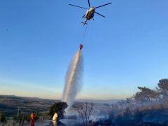 Los Angeles Alev Alev: Yangın Felaketinde Son Durum