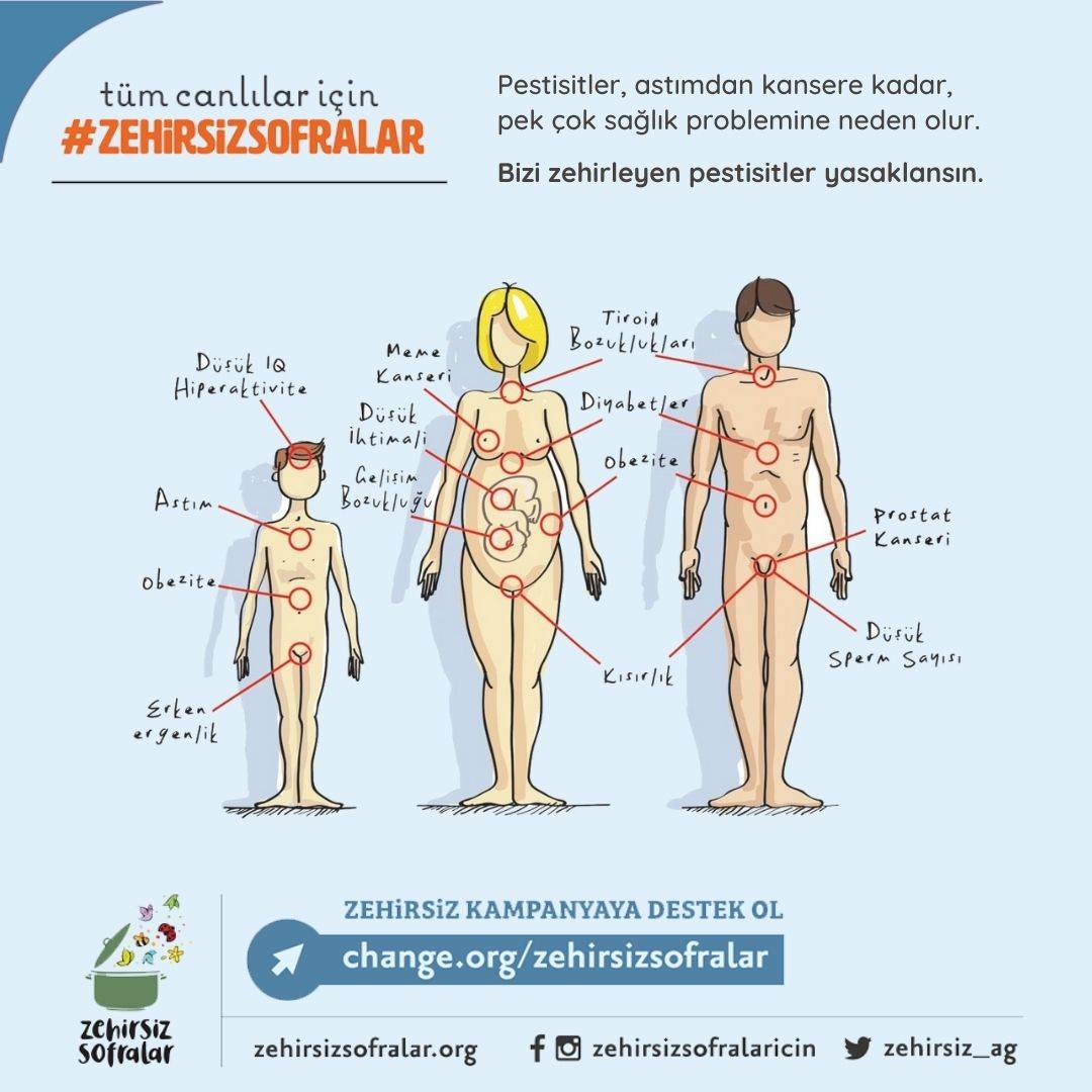 pestisitlerde guvenli doz algisi yaniltici mi 0 XjI7Gk9Y