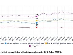 Tüik: Mevsim etkisinden arındırılmış işsizlik oranı %8,6 seviyesinde gerçekleşti