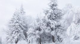 Soğuk ve Karlı Havalar Bağışıklığı Zorluyor!