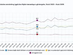 Tüik: Mevsim etkisinden arındırılmış işsizlik oranı %8,4 seviyesinde gerçekleşti