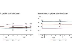 Tüik: Mevsim etkisinden arındırılmış işsizlik oranı %8,6 seviyesinde gerçekleşti